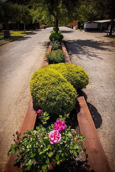Camping Riera Merles Borreda ภายนอก รูปภาพ